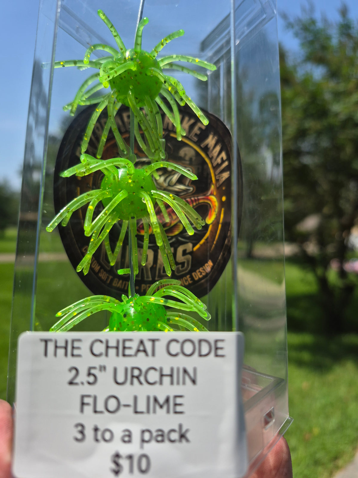 The CHEAT CODE 2.5"