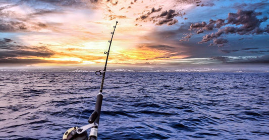 Cracking the code for correct lure usage.
