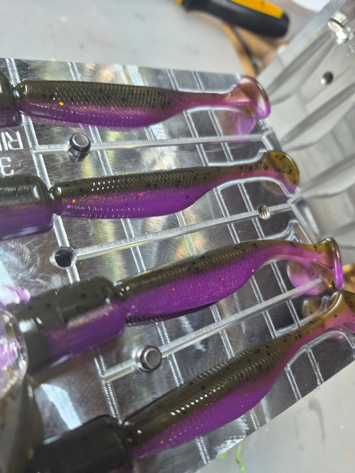 3.8" ASSASIN SWIMBAIT 8pk GREEN PUMPKIN PURPLE