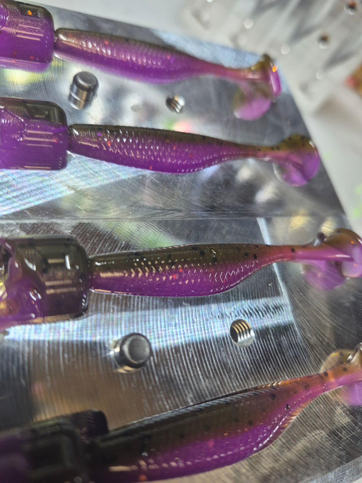2.8" ASSASIN SWIMBAIT 8pk GREEN PUMPKIN PURPLE