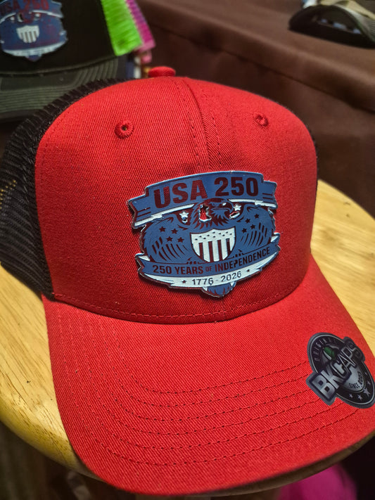 USA 250TH SNAPBACK HAT