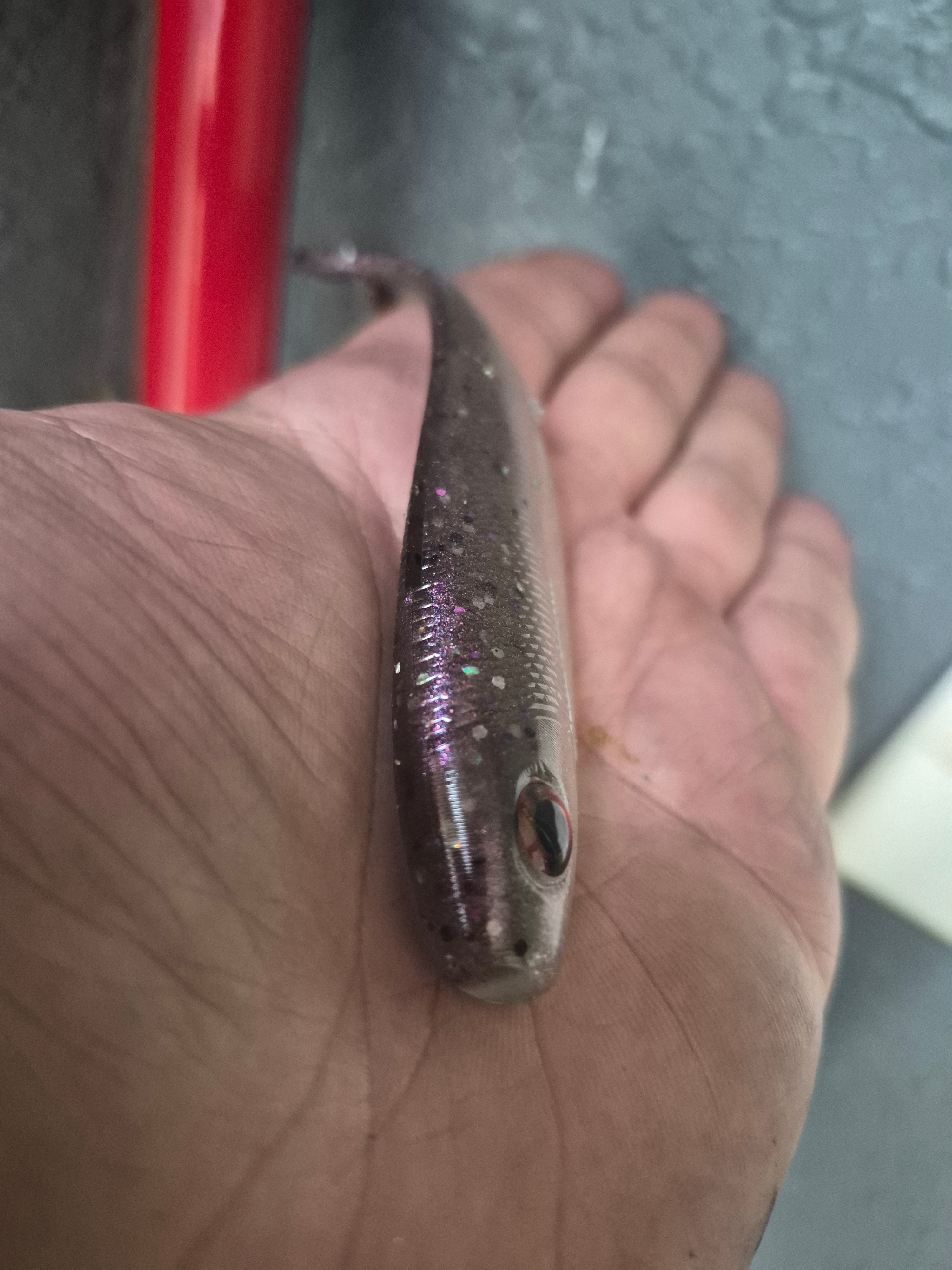 The General 4.3 SWIMBAIT Hypershift color change. Plasma Ashes