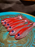 The GENERAL 4.3" SWIMBAIT Tropical hunter