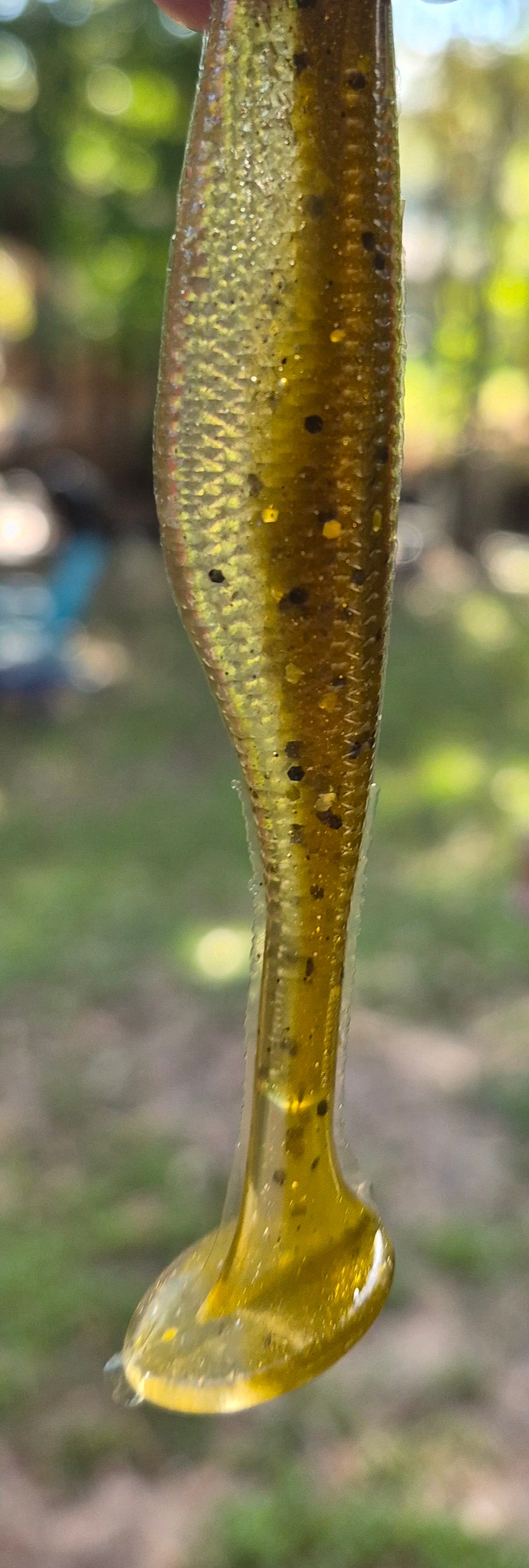 3.8" ASSASSIN SWIMBAIT GOLD RUSH 8PK