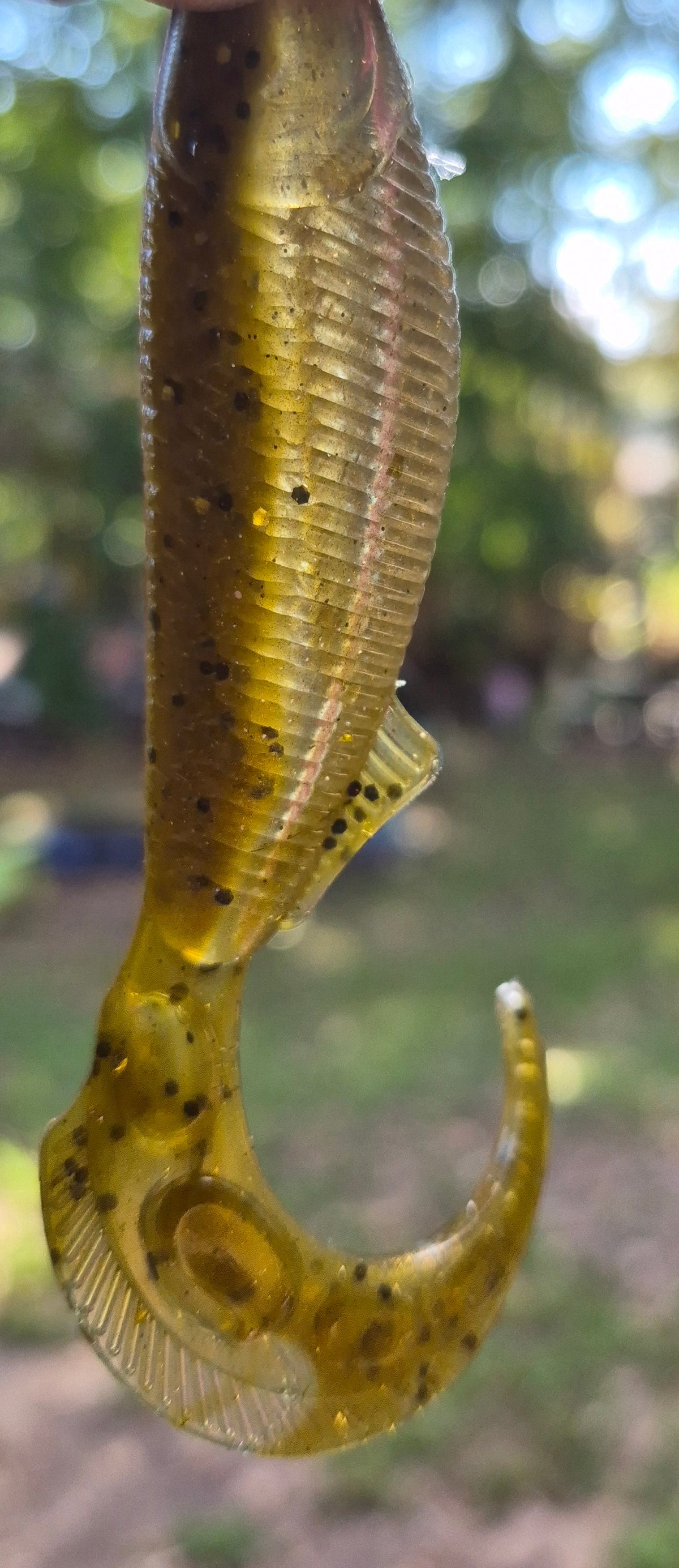 5.4" REAPER TAIL w/belly hook recess GOLD RUSH