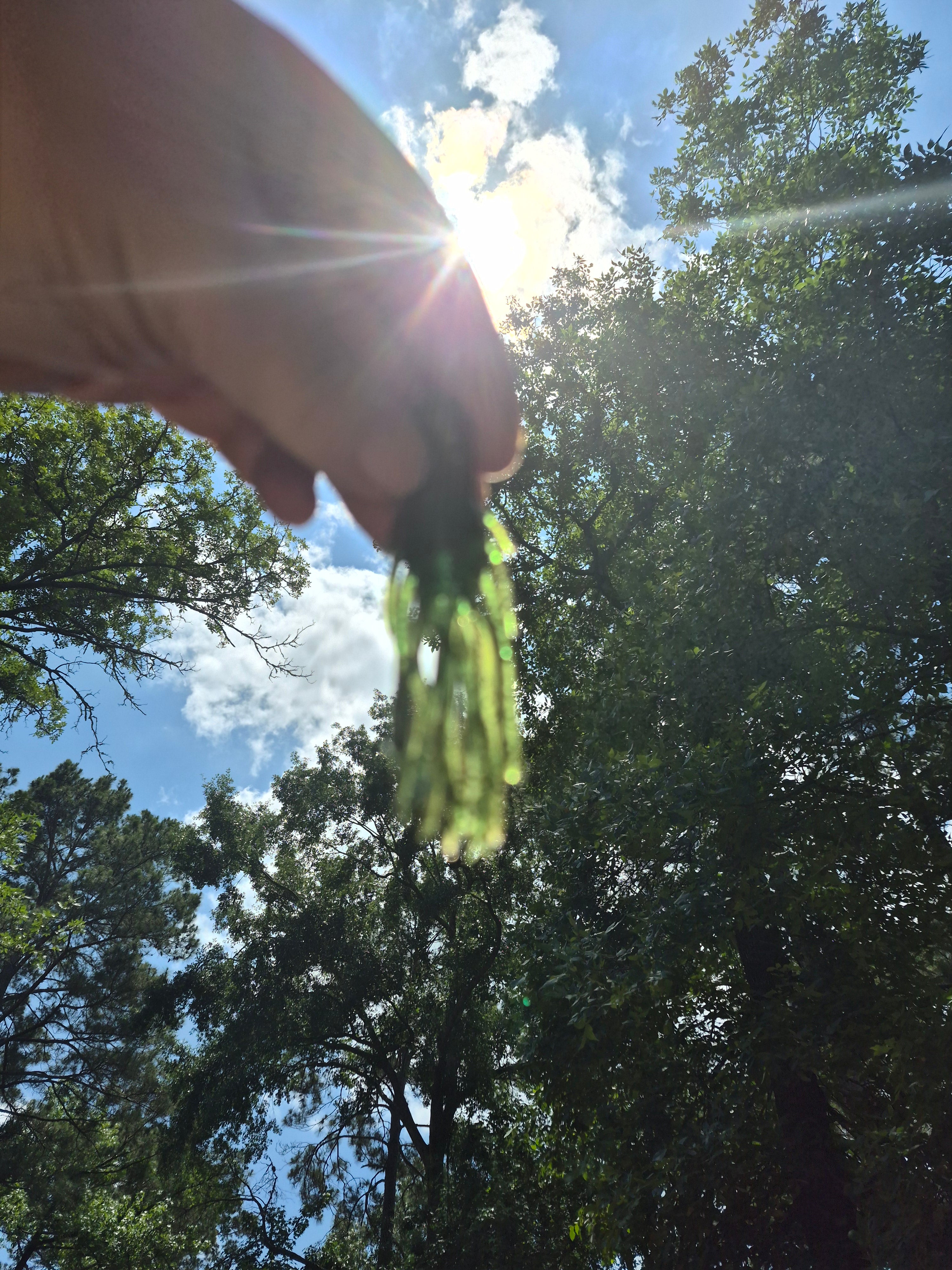 THE KRAWKIN 4" Hybrid Tube/Craw bait.