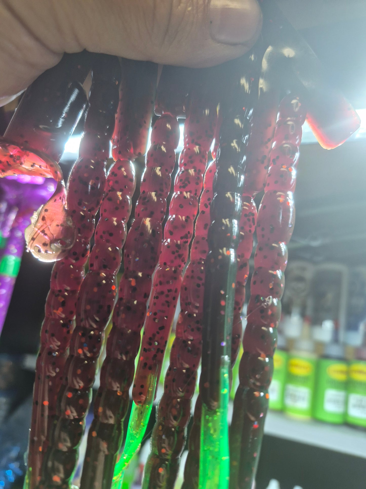The LEGEND 10" Ribbon worm WICKED